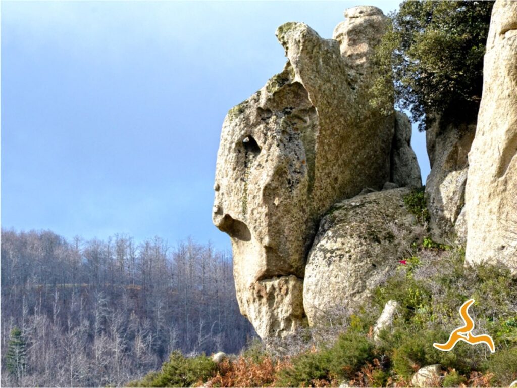 Parco dei Nebrodi - Montalbano Elicona - Megaliti dell'Argimusco